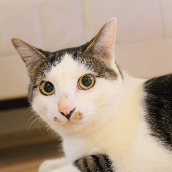 52c850ca bc39 4df9 9a85 7c43649af4ff