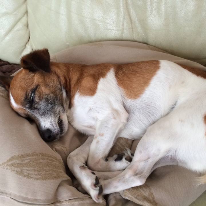 52c898b3 418f 4401 9546 24d7b014ebed