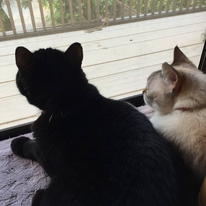 52c89c83 4b70 4c41 b2a7 ce93d5bf5d94