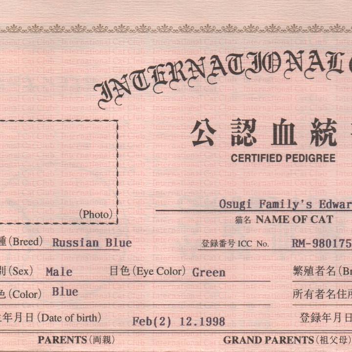 52c98e89 409c 4a25 8f15 0d60e7446bab