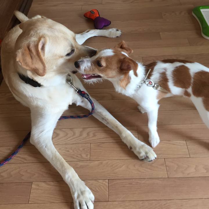 52c9ddf5 f13d 48dc 98f2 479b4b69c29c