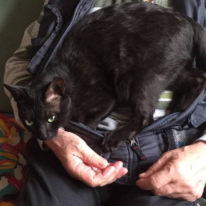 52ca2219 977c 4b85 9e4b 96120b35496c