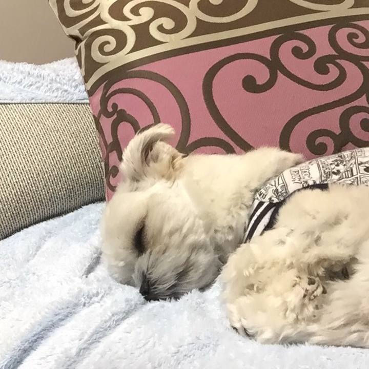 52ca3547 d8e5 4bcd ac34 eb0e66500a54