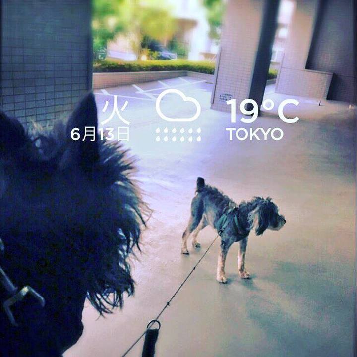 52ca85ad 032d 4db0 b663 87e5eecea6eb