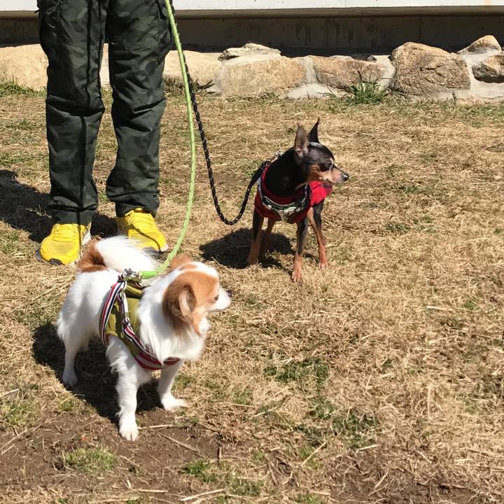 52cb4cf3 823d 46fd a310 69d790b78dea