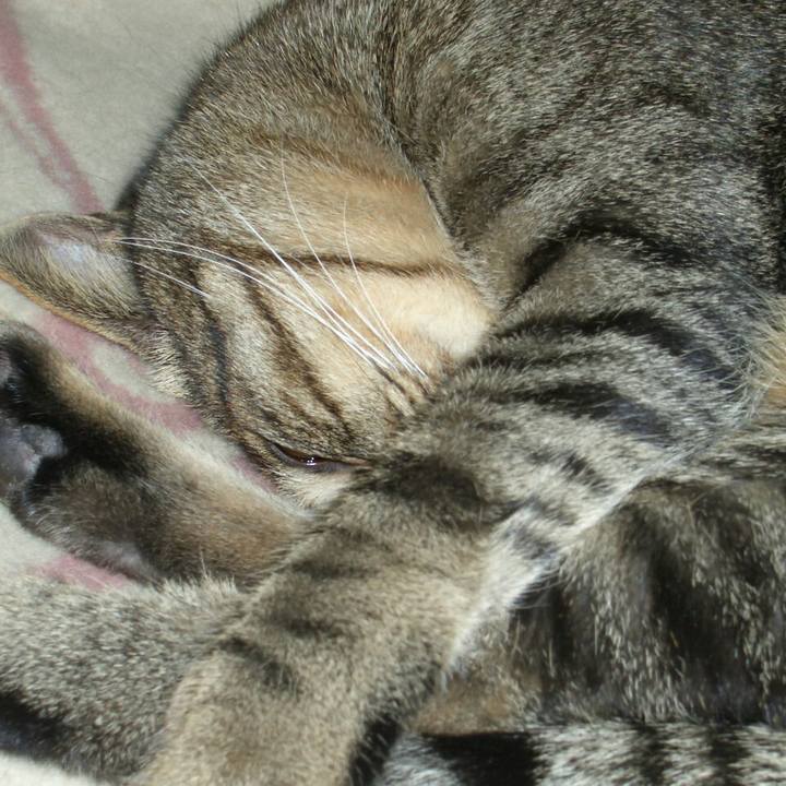 52cb90ca 8bca 41ce 8f39 42463a8127f5