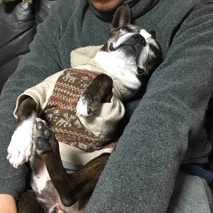 52cb953d 3ba1 41e0 9221 4bc1866d2791