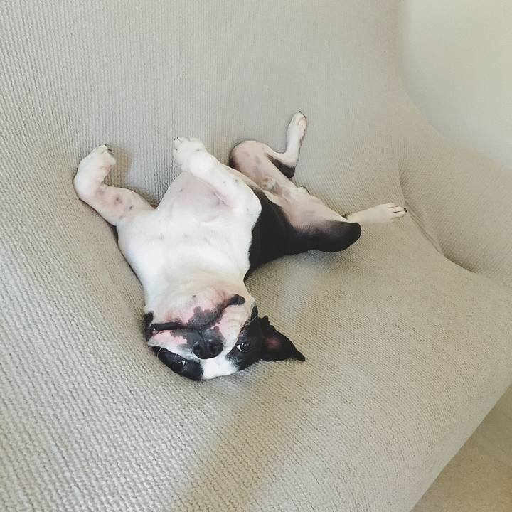 52cbc9f6 e04d 402d a0c5 c31b8b440c6e