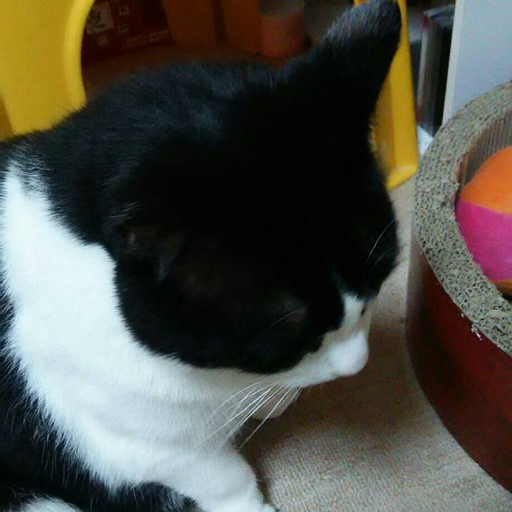 52cd1cac e723 4ac2 98aa 33c901db0213