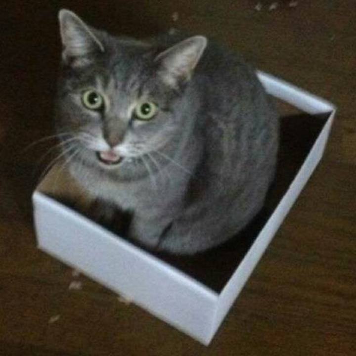 52cd3164 12f6 4513 8407 9386197e0681