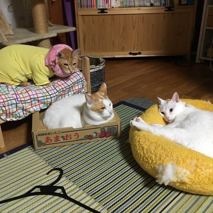 52cdfe5b 675a 453e a310 b90d05524cb9