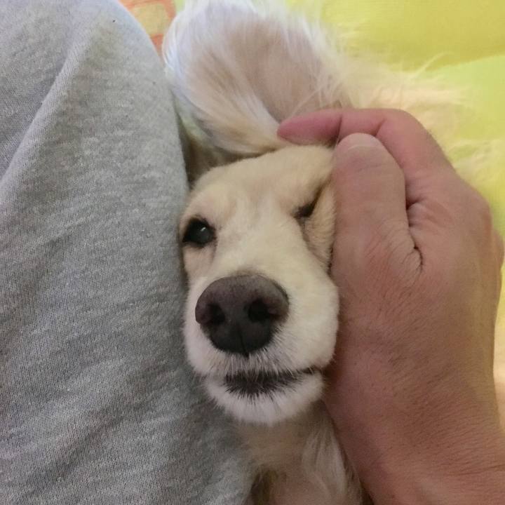 52ce3147 f561 47a8 990b 735e88ea1be9