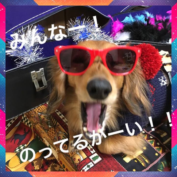 52ce82f0 7e7d 4ca2 9e2f f096a4b54ebb