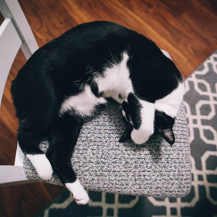 52ceaaed 9f7d 4f7d 9c6f 88c188bf4214