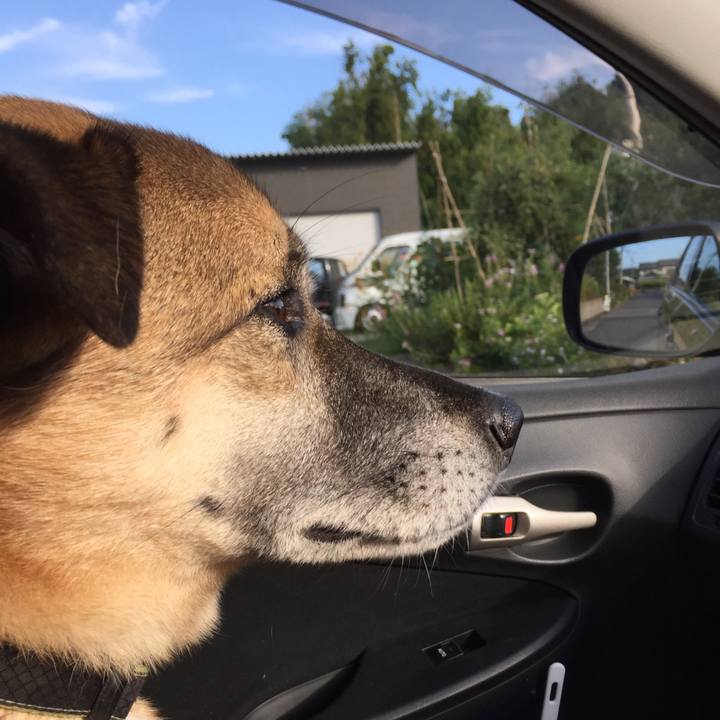 52cec431 3520 4ff4 9e63 a13b3262f6de