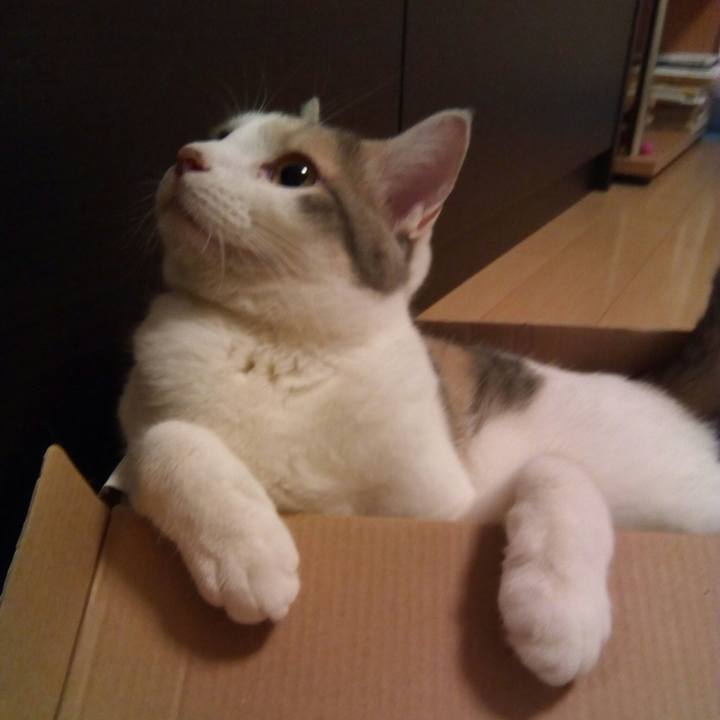 52ceccd6 44f9 426d a4fa 5f2c460547d3