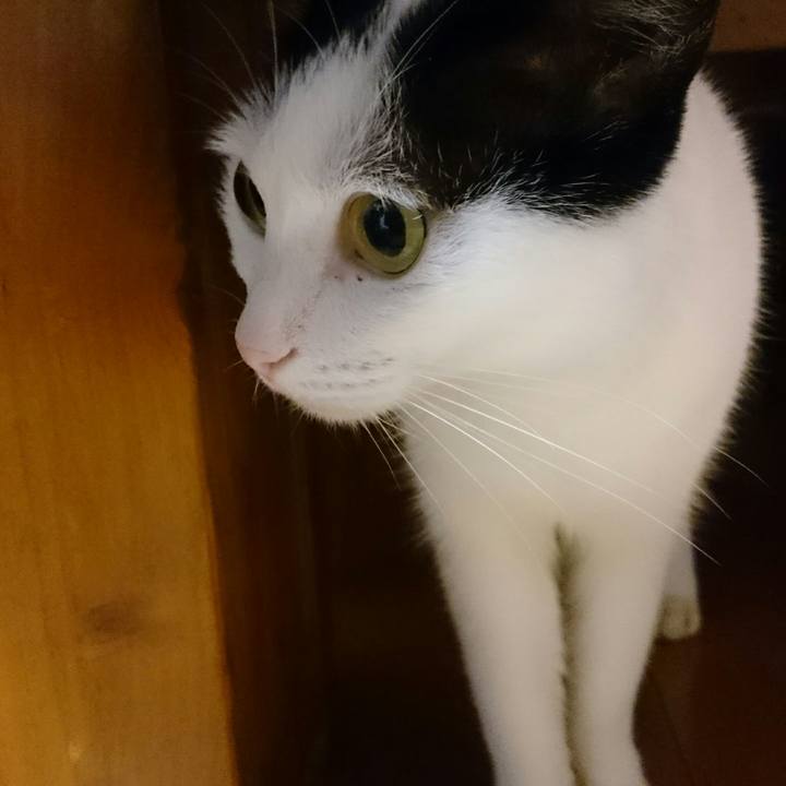 52cf3525 08e6 47c2 84cd fd0104950e89