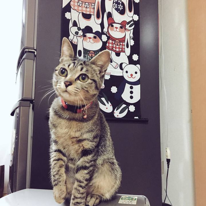 52cfacb7 90cb 4e2d 8aa4 ab9646e158db