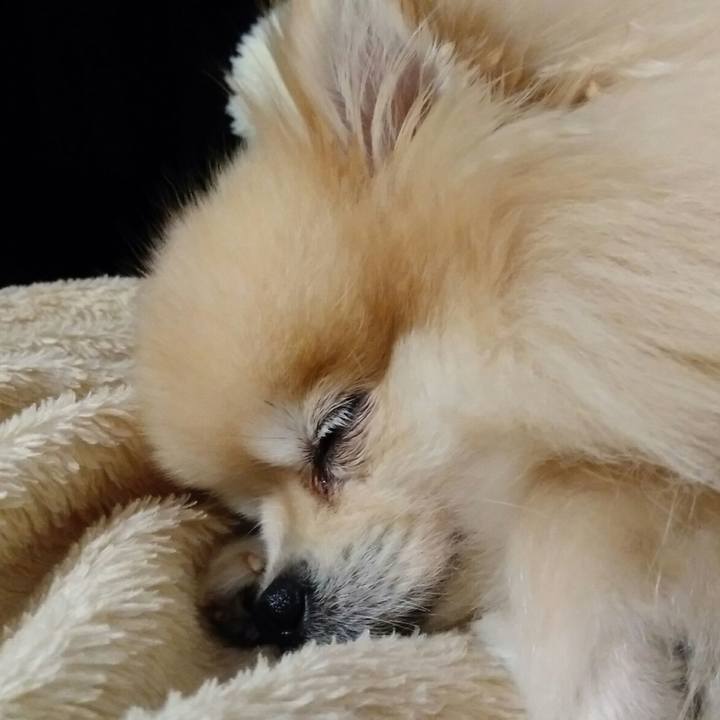 52d04754 e359 4f45 b367 c21787e13c4c