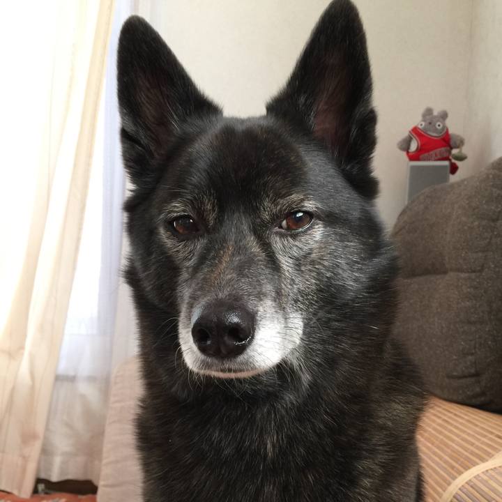 52d0562b d28d 4f38 8abb 3a7d8af3a933