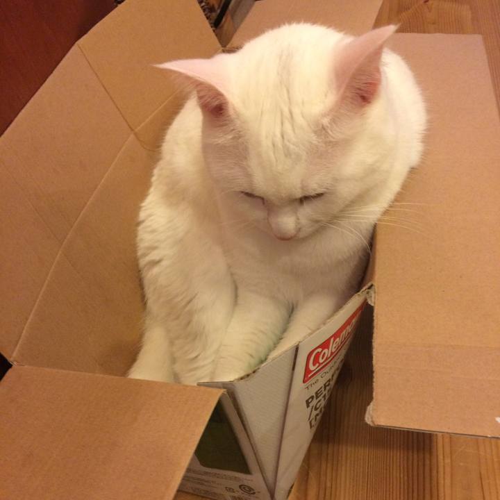 52d056ed 6fd2 47e0 933a 152bae4614c0