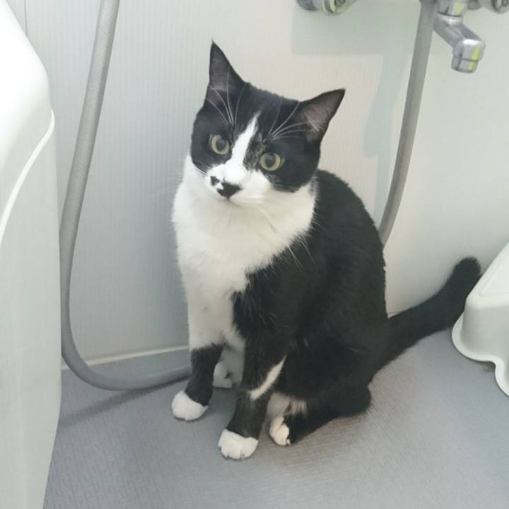 52d0d454 aef1 4d4b b8f9 8a2e996918e2