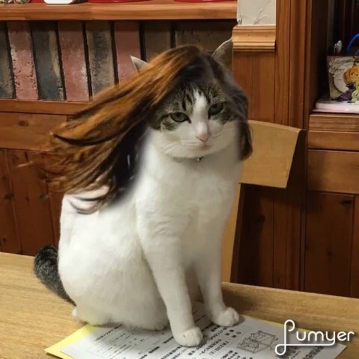 52d0dc43 4685 4293 a26d 1dc1faa7945a