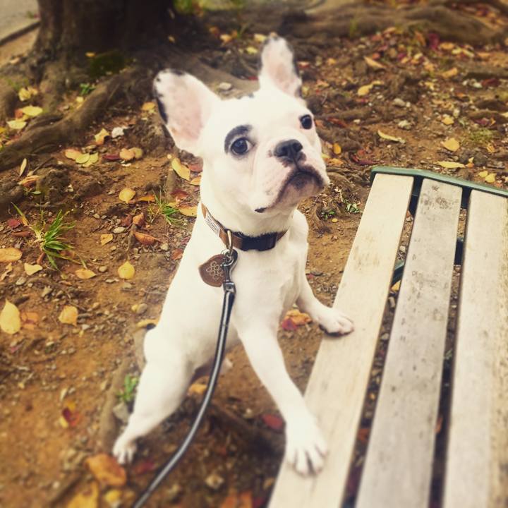 52d12f6c 1ace 4798 b0be e1c35b020844