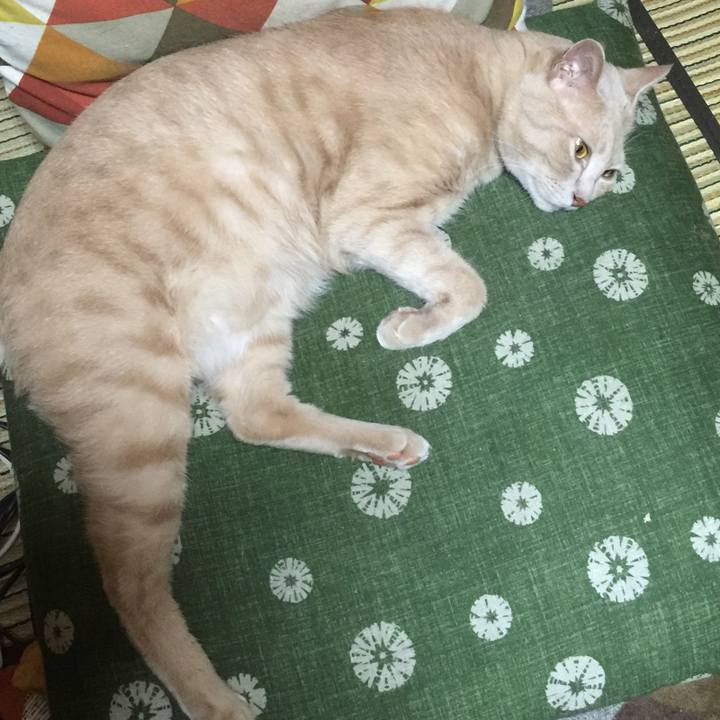 52d1b584 74da 4c80 bb3c 284b2a46d778