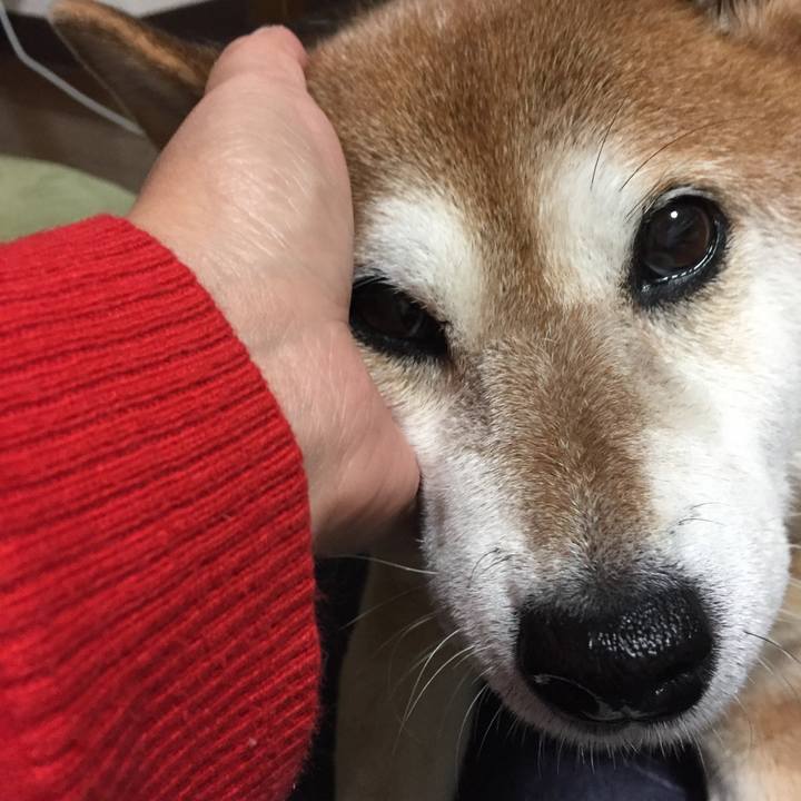 52d201dd 6b2c 47c7 bb4f 58aea6c0d275