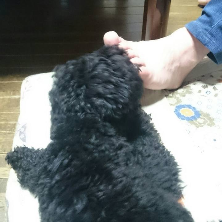 52d25d5d bef9 443a 9cf4 26a466719c56