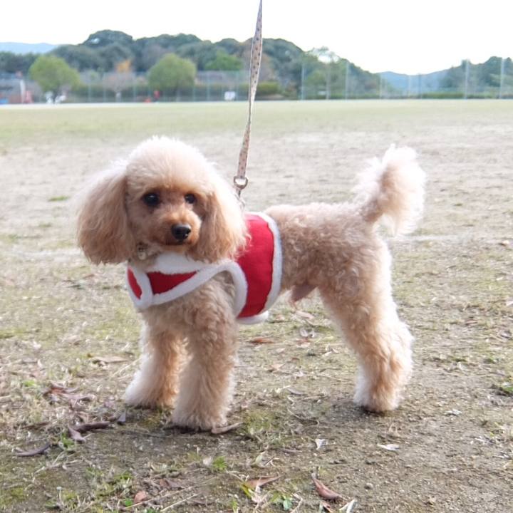 52d2b4a5 cb02 474f a86f f51fa95dff77