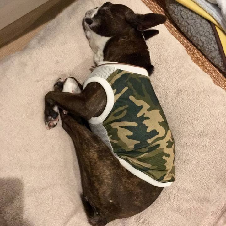 52d2d627 ffb3 45bb a77d 9b8835c5c3fa