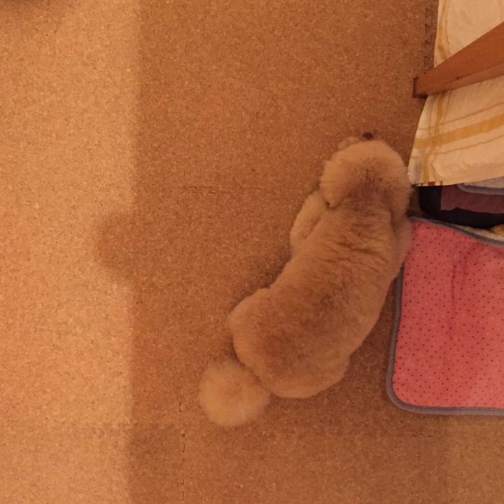 52d3619c 0efb 4f0b a416 8f70c3998e26