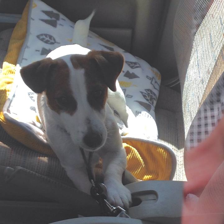 52d3b00b 944e 44fc 9a07 74bf5ecace5f