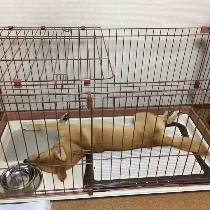 52d3b08c badd 4695 89f0 b56dfcd256d8