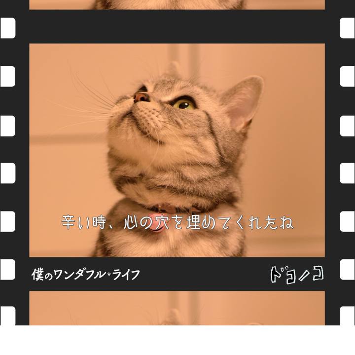 52d4768e dbce 43a0 bc15 4e66af992d9e