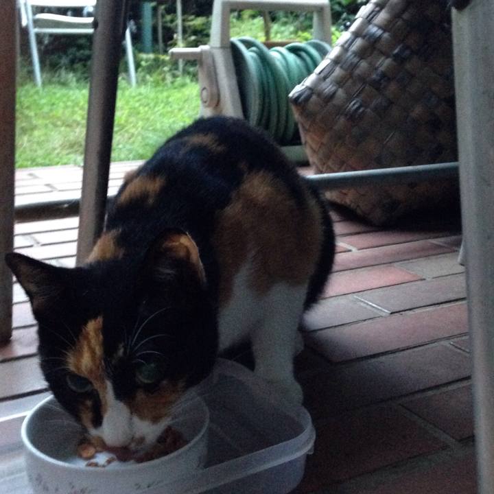 52d4d5be ce24 4dfd bcb2 79f8b7336859