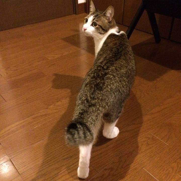 52d4d913 0b00 4e3a bdff bafa9abca0c6