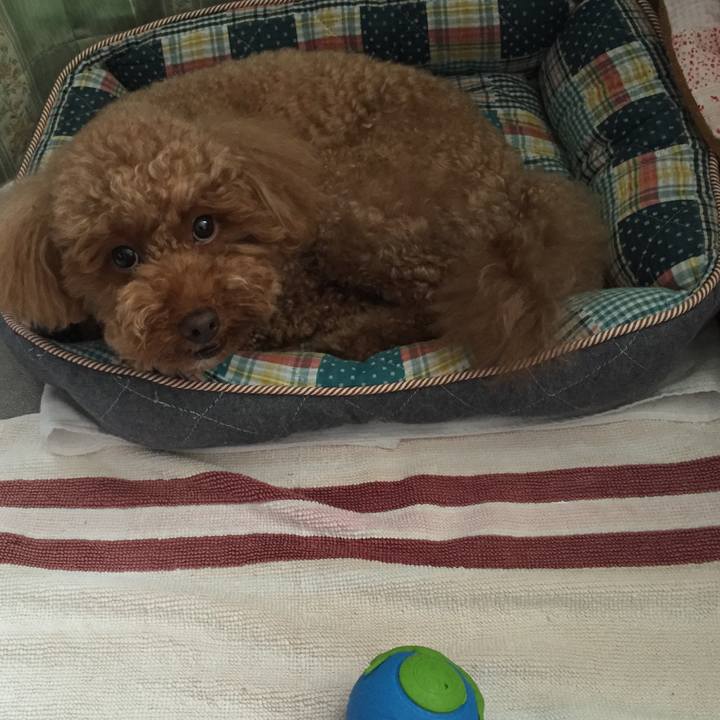 52d5302c 967a 4bd8 8510 97e60265bb09