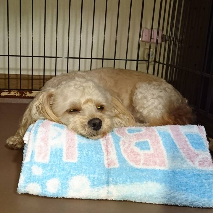 52d53b9a d822 41fe a380 de10d7d81f9d