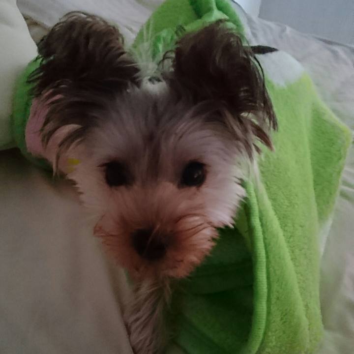 52d5a17c 37fb 4bb1 9f73 bbb85f6d3069