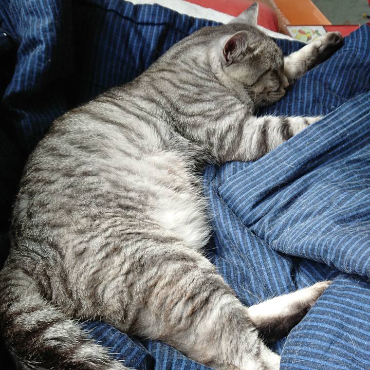 52d5ce68 6703 44f1 9354 ba4c76210f6a