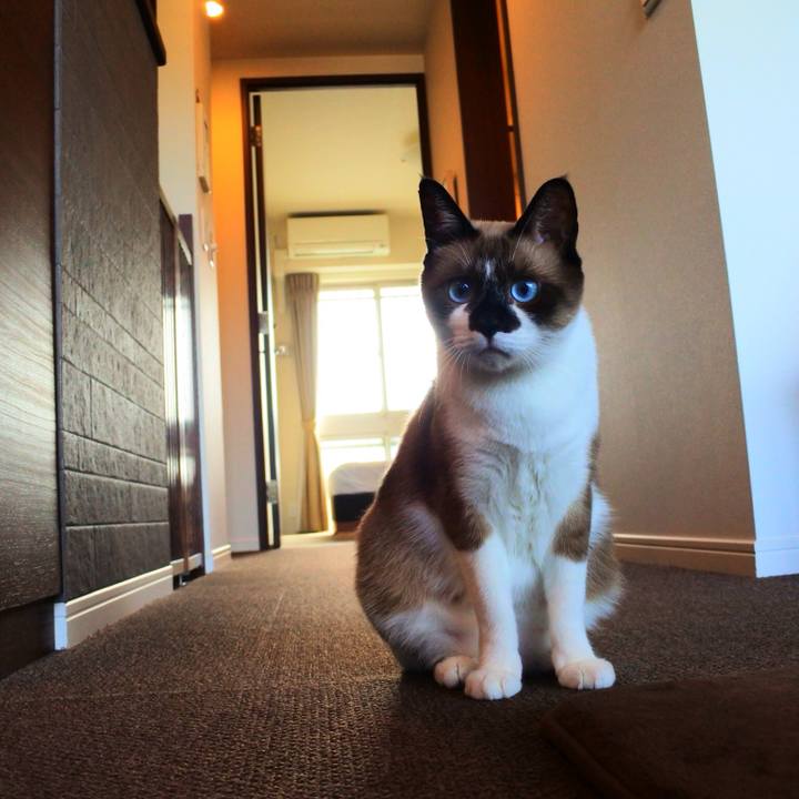 52d60f24 5deb 4755 b637 40f369df3716