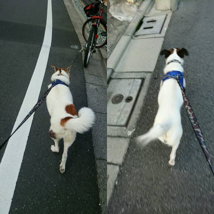 52d61ba3 8ccb 4c9d a08e 84f68997df3b