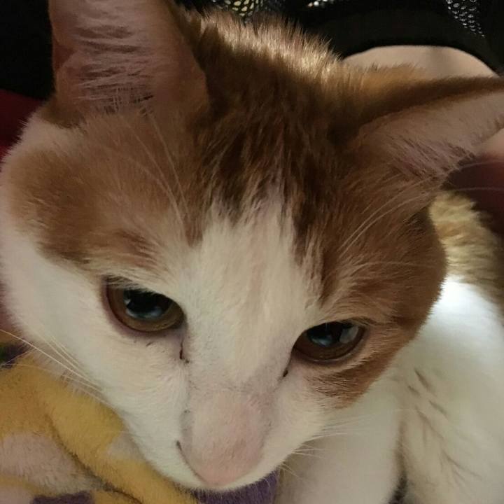 52d6e64c 371f 4815 b8d2 1daa685b2925