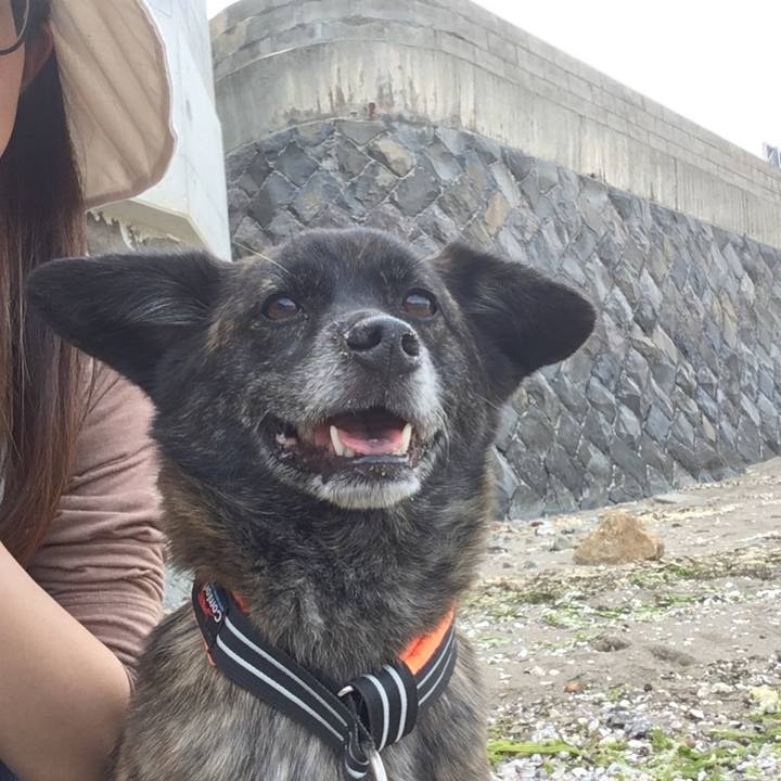 52d6eacc df7b 44a2 a1c8 1f1e31466381