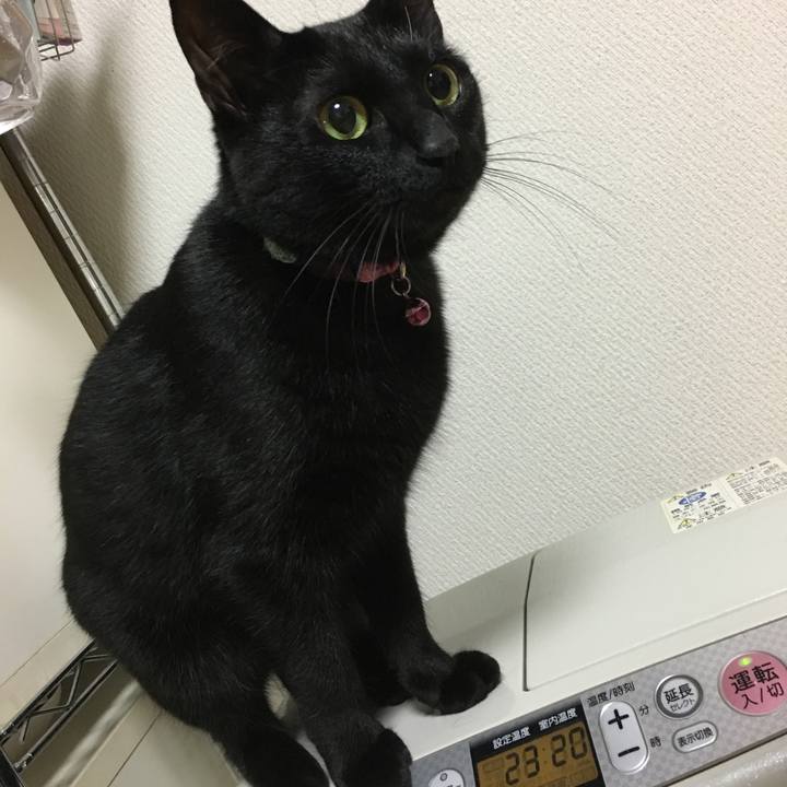 52d72300 52b1 4d56 bc33 1b68584ef510