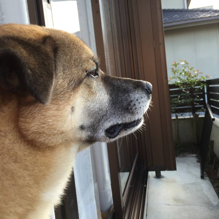 52d7362d 0e1c 4583 ad77 57ce8d34af0a