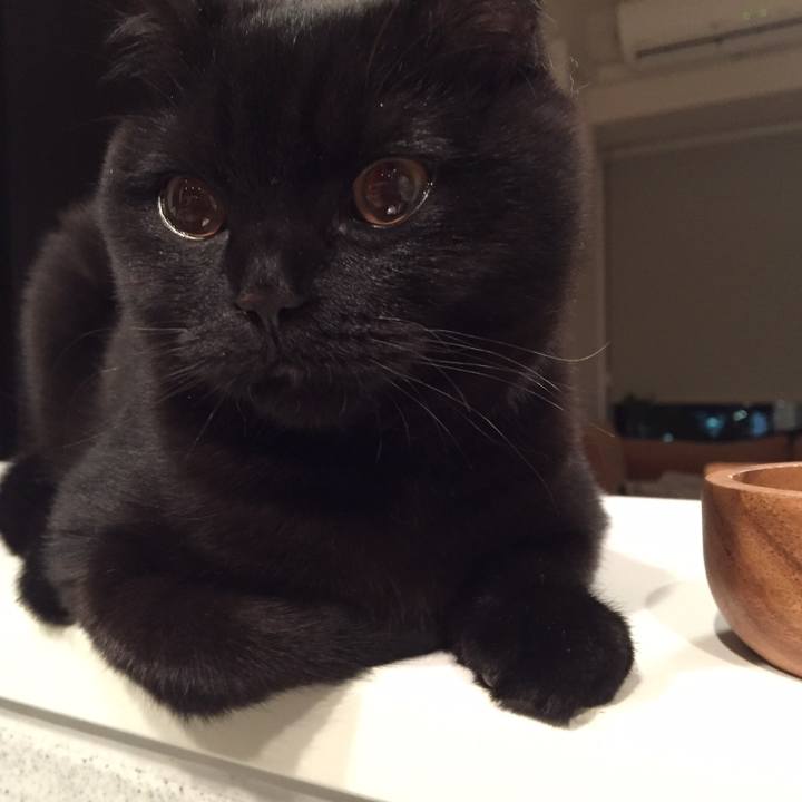 52d740ef 05b6 4516 acc9 1364d6904a78